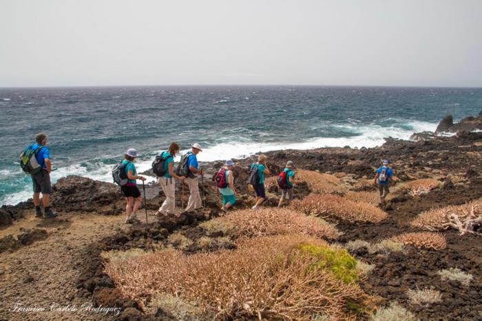 Piso Nuevo En El Puertito De Gueimar Al Lado Del Mar Realizamos Servicio De Excursiones Con Guia Puertito de Guimar Luaran gambar